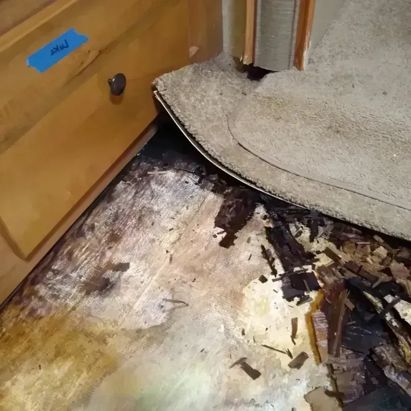 Best Wood Floor Water Damage Service in Sutton, NE